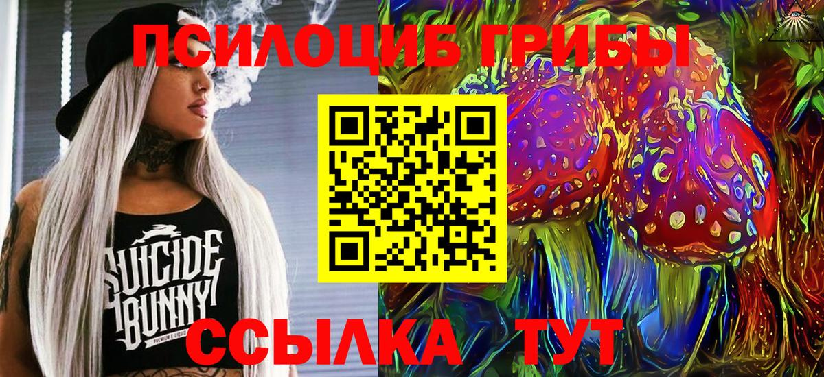 Серов  Галлюциногенные грибы MAGIC MUSHROOMS  Вход с VPN  Галлюциногенные грибы Psilocybine cubensis 